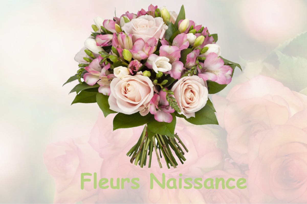 fleurs naissance PAUCOURT