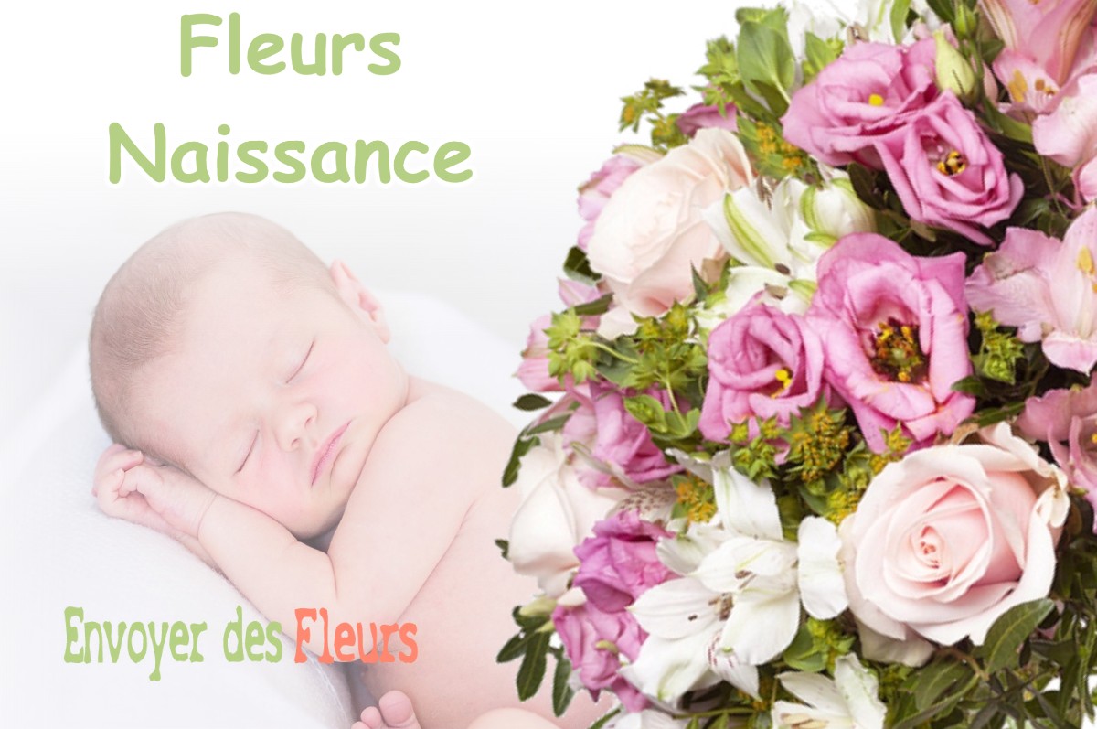 lIVRAISON FLEURS NAISSANCE à PAUCOURT